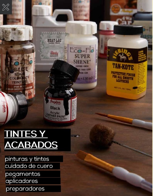 Tintes, Pinturas, Acabados, Pegamentos y Acondicionadores para el Cuero, y sus aplicadores. Tintes, Pinturas, Acabados, Pegamentos y Acondicionadores para el Cuero, y sus aplicadores.